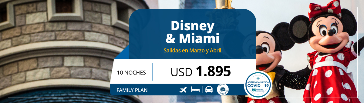 DISNEY Y MIAMI