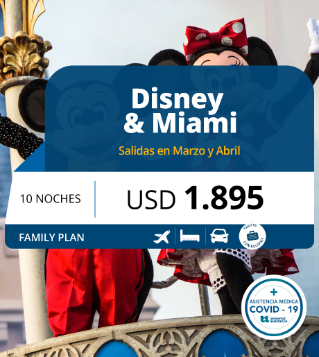 DISNEY Y MIAMI